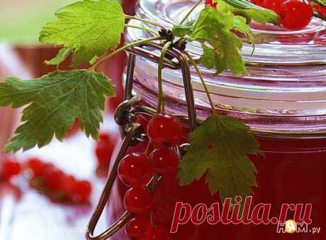 Желе из красной смородины - Рецепт с пошаговыми фотографиями - Ням.ру