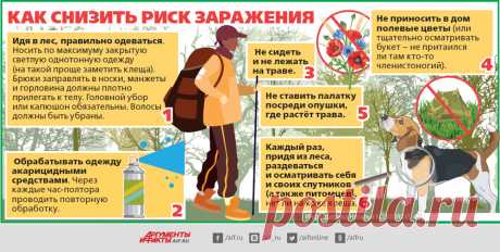 Клещи проснулись! Как защититься от паразитов | Здоровая жизнь | Здоровье | Аргументы и Факты