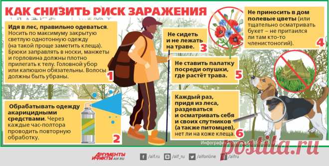 Клещи проснулись! Как защититься от паразитов | Здоровая жизнь | Здоровье | Аргументы и Факты