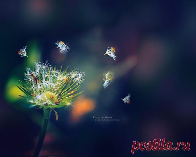 1280x1024_falling.jpg (1280×1024)