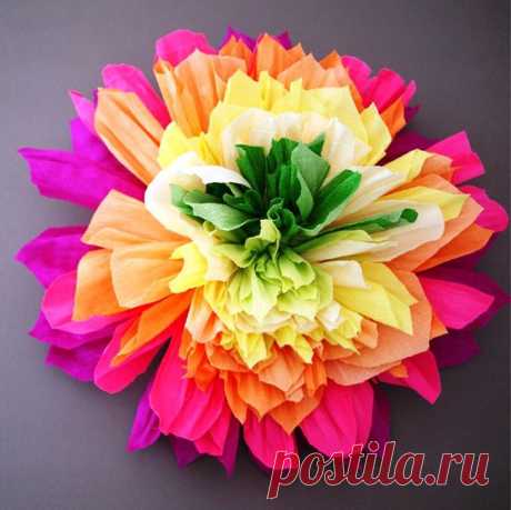 Как сделать яркие цветы из гофрированной бумаги | Newpix.ru - позитивный интернет-журнал