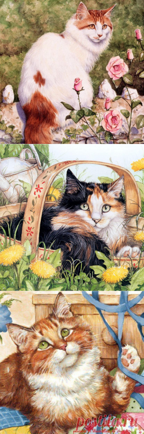Милые кошачьи портреты от Debbie Cook