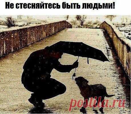 Тише, тише... Не судите, это грех...
Вы порадуйтесь душою за успех...
Вы поплачьте над чужою - над бедой...
Сострадание - ручей с живой водой...
Тише, тише... Не ругайте сгоряча...
Чья -то жизнь, возможно, гаснет как свеча...
Не задуйте ненароком тот огонь...
Подержите, поднеся к нему ладонь...
Тише, тише... Ведь слова острей ножа...
Нужно жить, на сердце злобы не держа...
Много мнений, только помнить нужно впредь,
Что на всех свою рубашку не одеть...