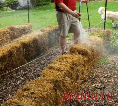 Как вырастить овощи на соломе?