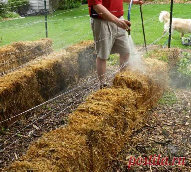 Как вырастить овощи на соломе?