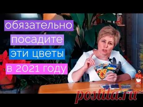 Что посадить в тени. Лучшие цветы для тенистого участка. Цветы для ленивого садовода.
