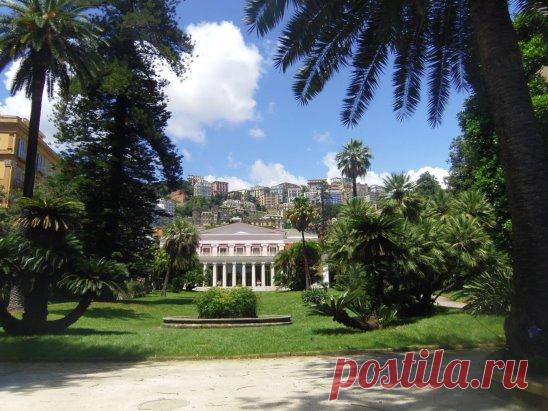 (49) Одноклассники