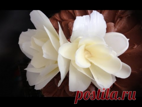 how to make a CHOCOLATE FLOWER rose by Ann Reardon How To Cook That Chocolate