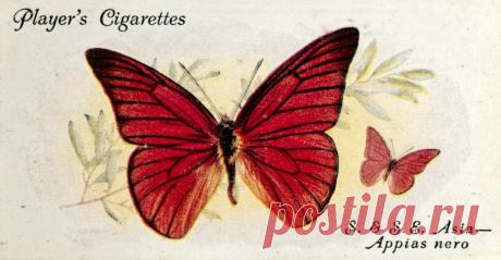 Декупаж в Кургане