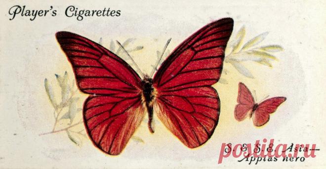 Декупаж в Кургане