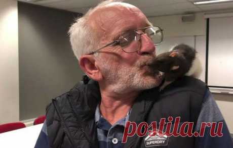 История бездомного Криса и крысы Люси : продолжение Они стали одной из достопримечательностей Сиднея в Австралии. Бездомный Крис и его ручная крыса Люси изо дня в день сидели на улица, прохожие с