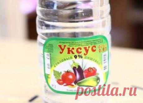 ХИТРИМ С УКСУСОМ. ОГОРОДНАЯ ТЕМА.
Муравьи. Эти терпеть не могут запаха уксуса. Советую пройти по участку и залить норки и подходы к ним. Не нужны нам они на участке. А что сделалось с нашей летней загородной мебелью за зиму – вся плесенью пошла! Чем париться с мылом и водой, сбрызнем из распылителя ее уксусом чистым – мгновенно отходит. Скамейки деревянные тоже прекрасно чистятся уксусом. Вообще в вашем патио (у кого есть) или в месте, где вы просто любите вечерком посидеть-отдохнуть, уксус нез