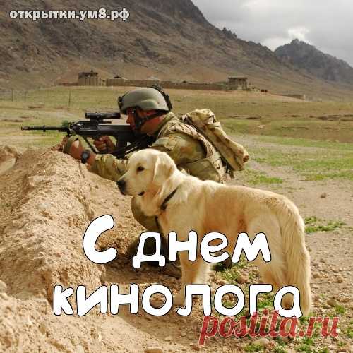 Всех кинологов сегодня
Поздравляю в МВД,
Ваша сложная работа
Очень нам нужна везде.