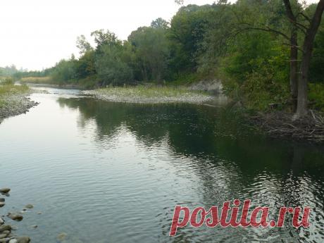 р. Пистынька с. Нижний - Вербиж .Речка детства моего.