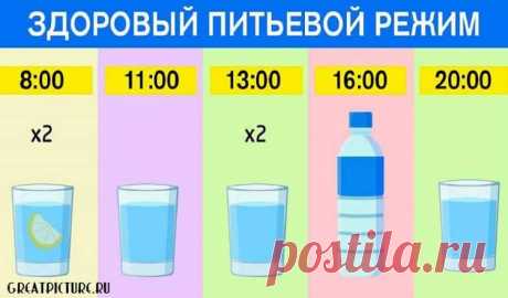 График для худеющих: ешь что хочешь и пей воду по часам. Результат — минус 15 % жира!
