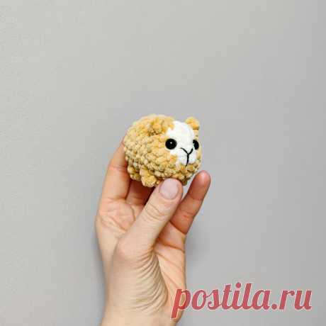 PDF Морские свинки крючком. FREE crochet pattern; Аmigurumi toy patterns. Амигуруми схемы и описания на русском. Вязаные игрушки и поделки своими руками #amimore - плюшевый зверёк, маленькая морская свинка из плюшевой пряжи, милая зверюшка.