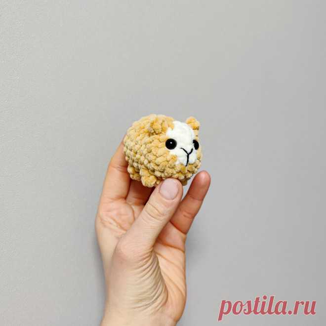 PDF Морские свинки крючком. FREE crochet pattern; Аmigurumi toy patterns. Амигуруми схемы и описания на русском. Вязаные игрушки и поделки своими руками #amimore - плюшевый зверёк, маленькая морская свинка из плюшевой пряжи, милая зверюшка.