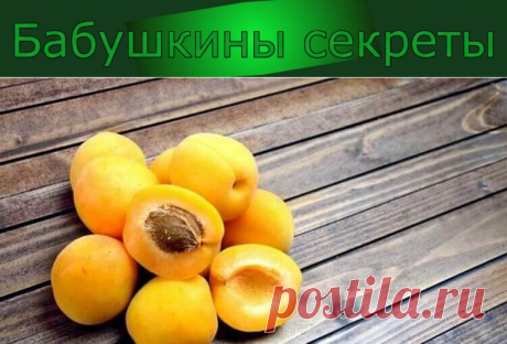 7 богатых железом фруктов для предотвращения анемии — Бабушкины секреты