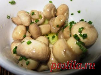 Шампиньоны на зиму: вкусно посолить в домашних условиях, быстрого приготовления, рецепт, мариновать в банках, консервирование грибов холодным способом