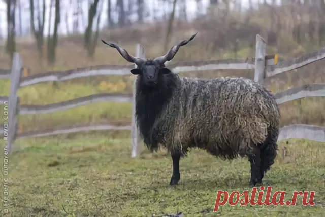 страницы которые создавались константина валерьевича сосницкого краснодар: 10 тыс изображений найдено в Яндекс.Картинках