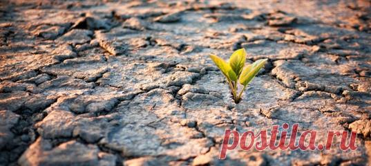 НАСА планирует начать строительство орбитальных теплиц, в которых можно будет выращивать еду не только для космонавтов, но и для землян, чтобы решить проблему голода на нашей планете. Как? Все очень прозаично! Американская компания Nanoracks намерена в этом году построить первую теплицу на орбите Земли. После того как она будет готова к эксплуатации, ученые начнут выращивать в ней различные экспериментальные овощи. Цель заключается не в том, чтобы производить продукты питания для землян, а в…