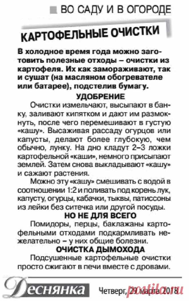 Картофельные очистки в саду и огороде