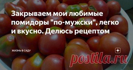 Закрываем мои любимые помидоры "по-мужски", легко и вкусно. Делюсь рецептом На днях с папой закрывали на зиму помидоры, рецепт которых наши гости часто спрашивают, и потом удивляются, что всё так просто, но при этом так вкусно. Решил в своем блоге рассказать о нем тоже, интересно узнать, может кто-то также делает.
У нас достаточно большая семья, поэтому одной плиты было мало. Мы с папой решили не мешать маме и организовали свою "резиденци
