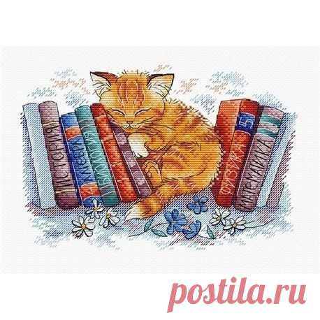 ​Хранитель книг