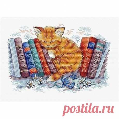 ​Хранитель книг