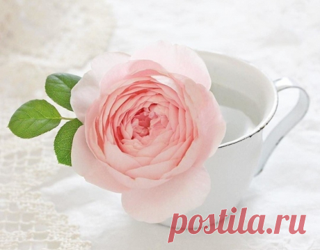 КАКОЙ СЕГОДНЯ ПРАЗДНИК? 8 Июня 2018 г. – Пятница • Международный день домохозяйки и домохозяина • Всемирный день петербургских кошек и котов13 лет • Всемирный день океанов (World Ocean Day)9 лет • День таинственных знаков и предсказаний • Международный день IPv6 (World IPv6 Day)7 лет • День социального работника18 лет • День Республики Карелия98 лет • День рождения пылесоса149 лет • Всемирный день борьбы с опухолями головного мозга (World Brain Tumor Day) • День «Баунти» - о. Норфолк • День…