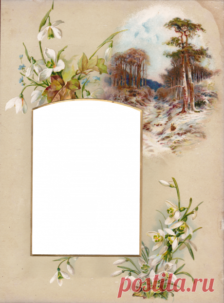 album_0003.png (1184×1600)