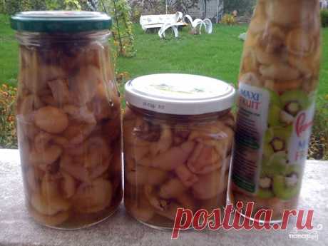 Маринованные маслята жареные - пошаговый кулинарный рецепт с фото на Повар.ру