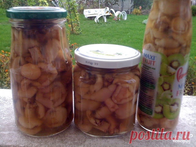 Маринованные маслята жареные - пошаговый кулинарный рецепт с фото на Повар.ру