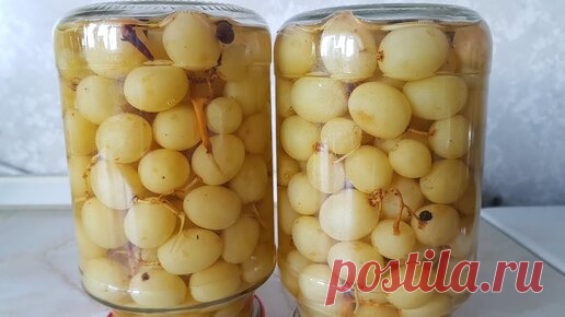 Маринованный виноград, цыганка готовит. | Галина Кухня | Дзен