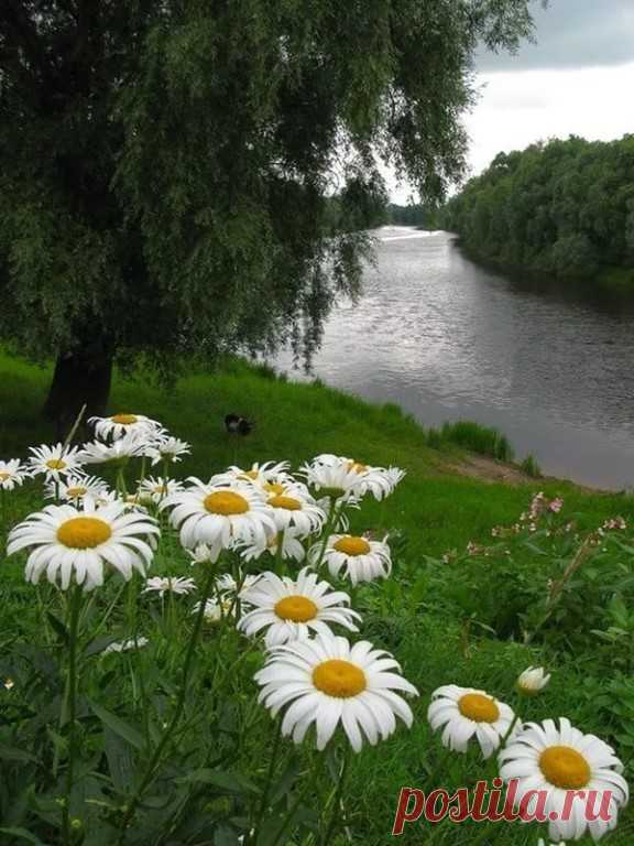 Лето как выходные: Такое же прекрасное, и так же быстро проходит... 
Июнь – это пятница, июль – суббота, август – воскресенье... 

                                                                                      (Марина Цветаева)