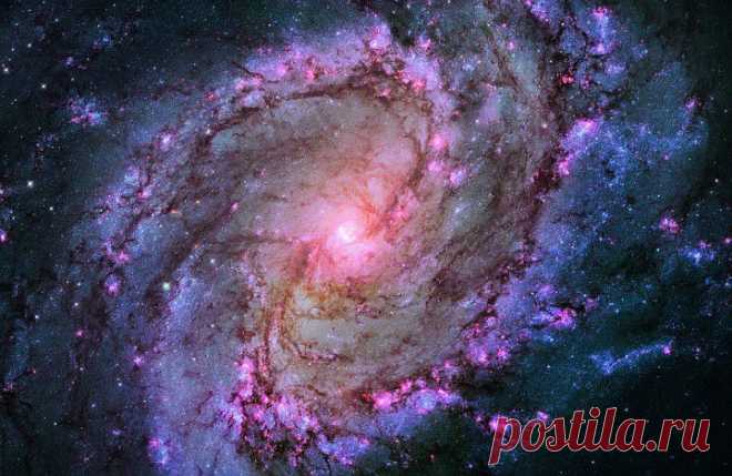 11.  Эта красота -  спиральная галактика M83, расположенная в 15 млн световых лет от ближайшего созвездия - Гидры.