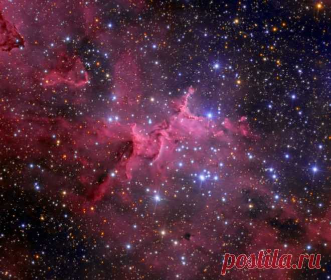 Космические облака в центре эмиссионной туманности IC 1805 принимают поистине фантастические формы. Они создаются звёздным ветром и излучением горячих массивных звёзд из новорожденного звёздного скопления Мелотт 15. Этому скоплению всего 1.5 миллиона лет. На сегодняшнем красочном космическом пейзаже скопление расположено около центра картинки, вместе с тёмными силуэтами пылевых облаков на фоне светящегося межзвёздного газа.