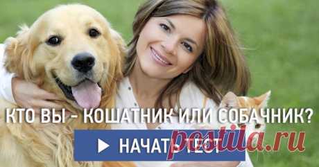 Кто вы – кошатник или собачник?