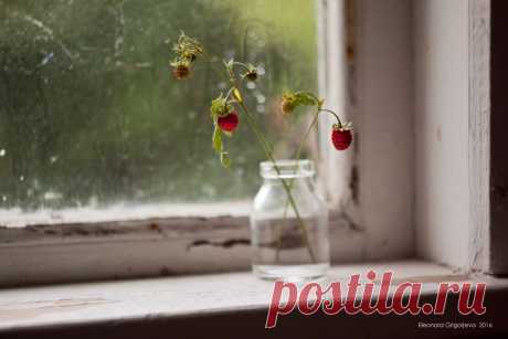 35PHOTO - Eleonora Grigorjeva - Эти летние дожди...