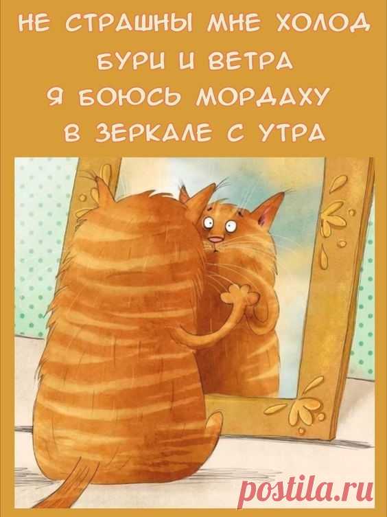 Не страшны мне холод бури и ветера (открытка 1026): Бесплатные картинки &#8226; Otkrytki.Top