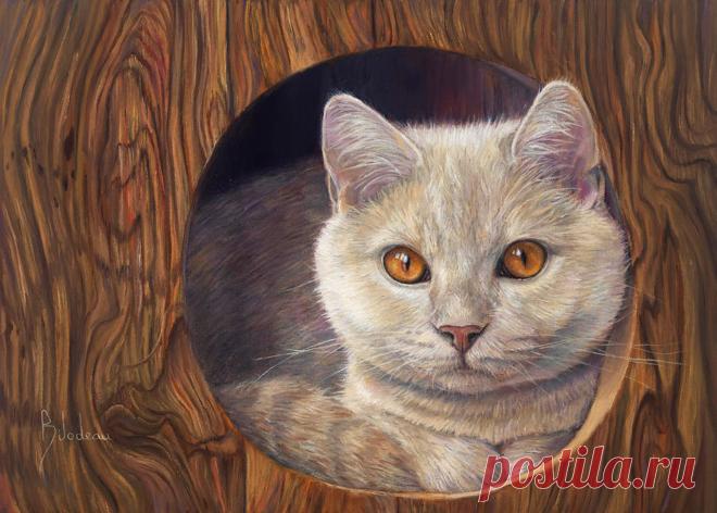Канадская художница Lucie Bilodeau и ее кошки: подборка из 50 картин | Журнал Ярмарки Мастеров