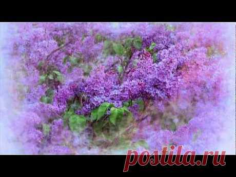 ▶ переходы ProShow Producer - YouTube