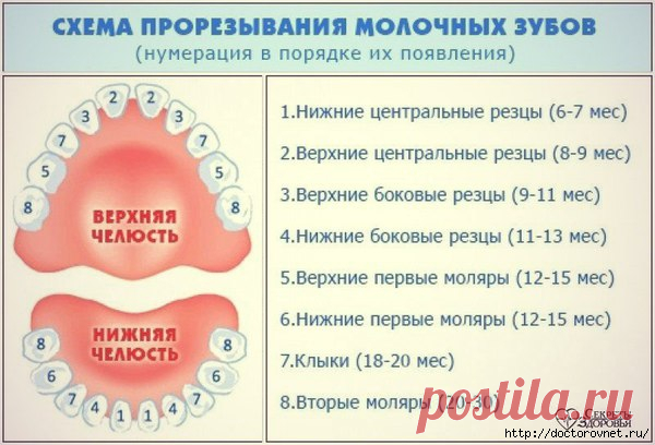 Советы и рецепты для Вашего здоровья