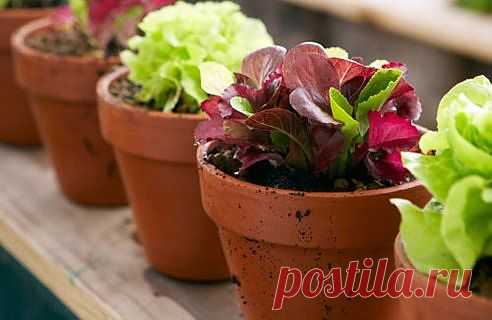 Блоги@Mail.Ru: Мой блог