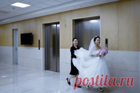 Французский фотограф представил серию фотографий о том, какое место корейская корпорация Samsung занимает в жизни граждан страны. Если коротко, Samsung контролирует все аспекты жизни своих сотрудников, а заодно — и обычных горожан: ей принадлежат стадионы, парки развлечений, медицинские центры, учебные заведения, и даже несколько спальных районов в столице. Горожане и женятся, и развлекаются, и лечатся, и живут с Samsung — причём некоторые об этом даже не подозревают