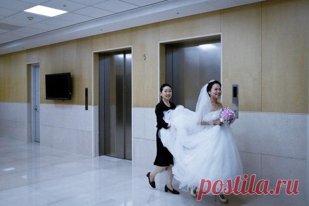 Французский фотограф представил серию фотографий о том, какое место корейская корпорация Samsung занимает в жизни граждан страны. Если коротко, Samsung контролирует все аспекты жизни своих сотрудников, а заодно — и обычных горожан: ей принадлежат стадионы, парки развлечений, медицинские центры, учебные заведения, и даже несколько спальных районов в столице. Горожане и женятся, и развлекаются, и лечатся, и живут с Samsung — причём некоторые об этом даже не подозревают