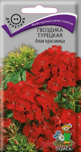 гвоздика турецкая и другие - mydobro seeds