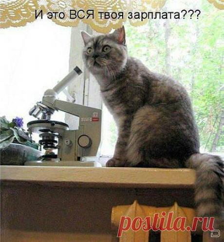 ((((Положительное Настроение))))
Петр Рубашкин