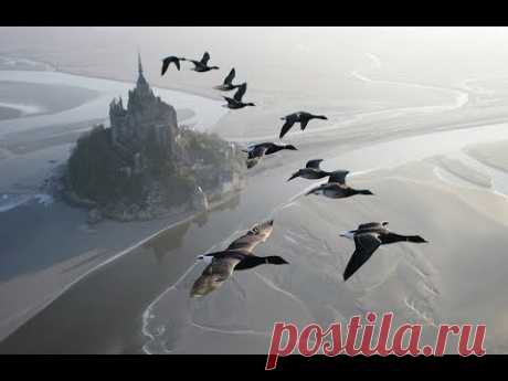 Amazing fligts with birds on board a microlight. Christian Moullec avec ses oiseaux - YouTube
