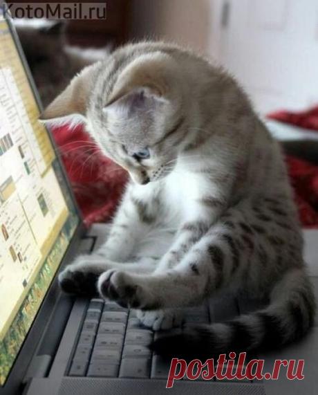 Всё человеческое мне не чуждо!